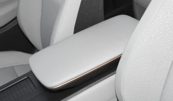 
									NISSAN ARIYA long battery life TOP full								