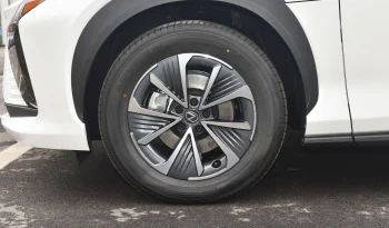 
									Lexus RZ 450e DIRECT4 Indulgence Edition full								