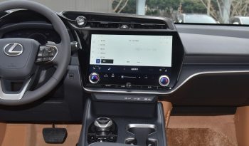 
									Lexus RZ 450e DIRECT4 Indulgence Edition full								