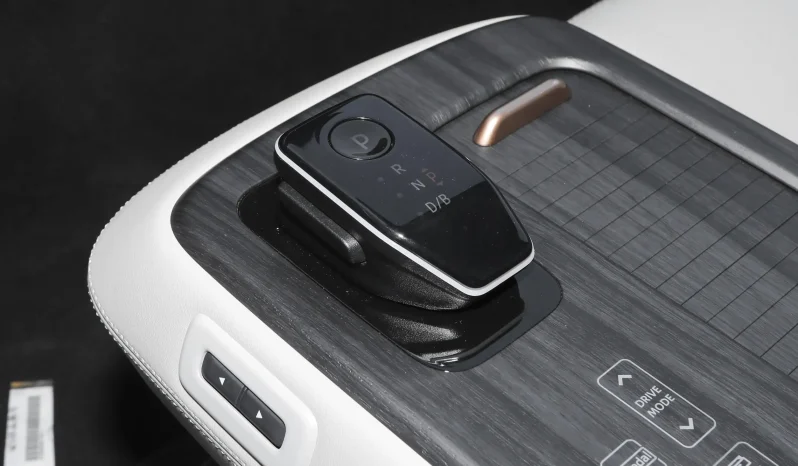 
								NISSAN ARIYA long battery life TOP full									