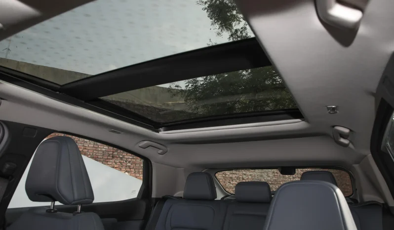 
								NISSAN ARIYA high-performance TOP full									