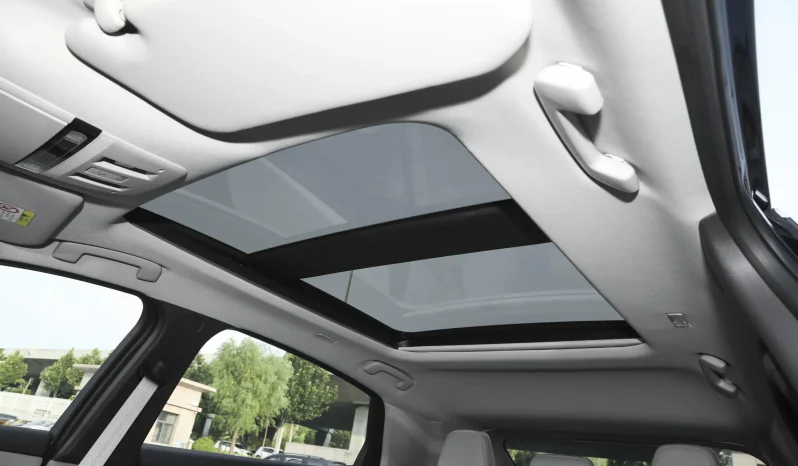 
								NISSAN ARIYA long battery life TOP full									