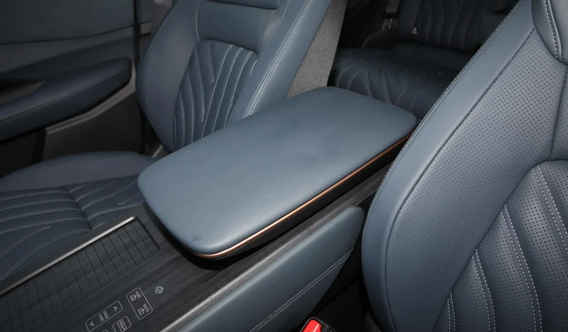 
								NISSAN ARIYA high-performance TOP full									