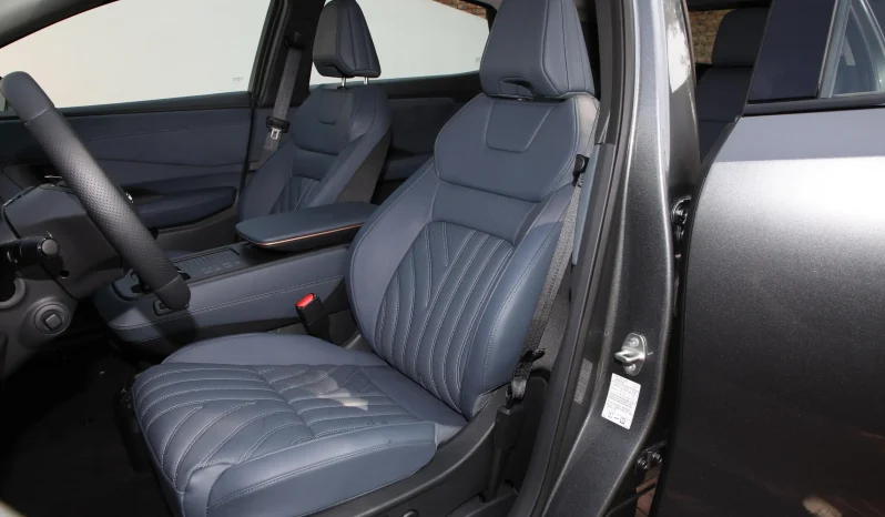 
								NISSAN ARIYA high-performance TOP full									