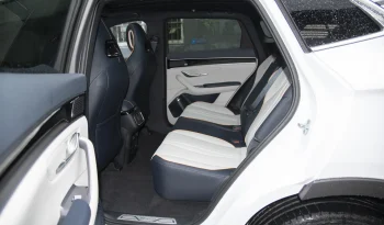 
									BYD SONG+ CHAMPION FLAGSHIP PLUS full								