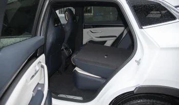 
									BYD SONG+ CHAMPION FLAGSHIP PLUS full								