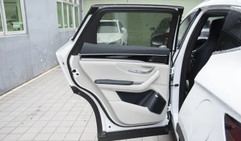 
									BYD SONG+ CHAMPION FLAGSHIP PLUS full								