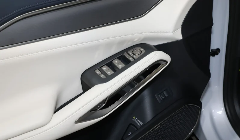 
								BYD SONG L EXCELLENT full									