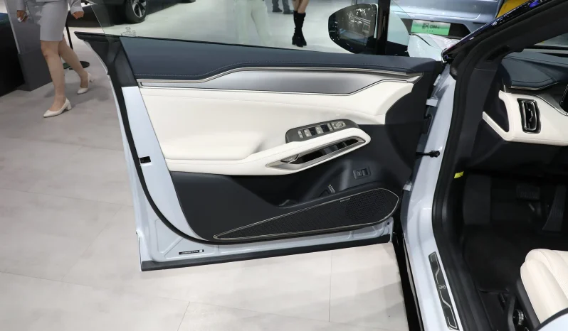 
								BYD SONG L EXCELLENT full									