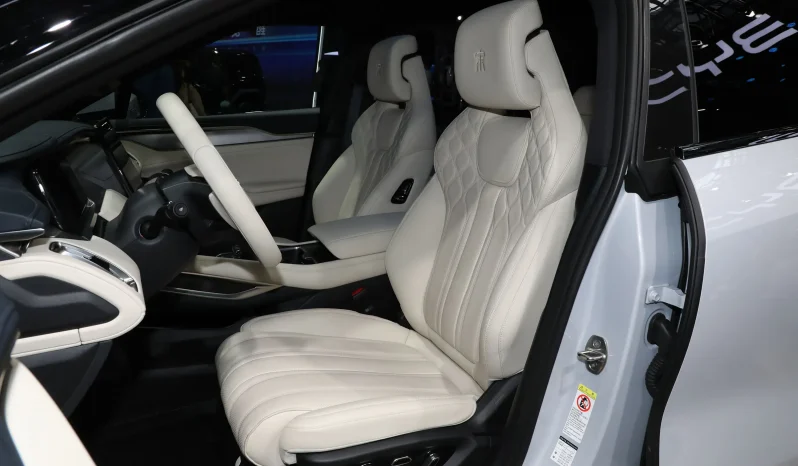 
								BYD SONG L EXCELLENT full									